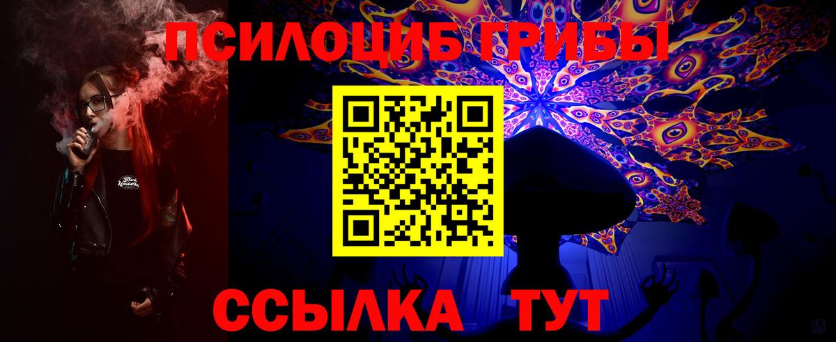 Галлюциногенные грибы Magic Shrooms  Вход с VPN  Галлюциногенные грибы прущие грибы  Новосибирск 
